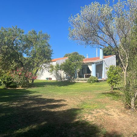 Lo Stazzo Di Wally Guest House Porto Pollo Exterior photo
